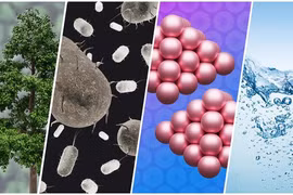 Vi sinh có thể sản xuất hydrocarbon bền vững cho công nghiệp hóa dầu