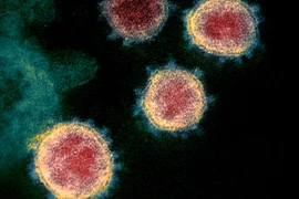 Biến chủng mới gây chú ý tại Mỹ