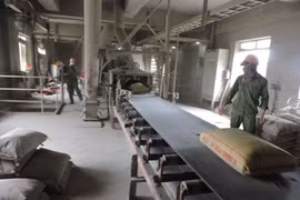 VDB không đòi được nợ, kiện Xi măng X18 ra tòa