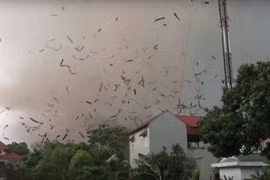 Nguyên nhân của lốc xoáy trong cơn giông