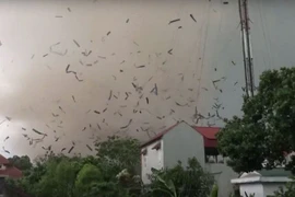 Nguyên nhân của lốc xoáy trong cơn giông