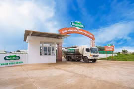 Trang trại Bò sữa NutiMilk công bố thành quả sữa tươi chất lượng cao