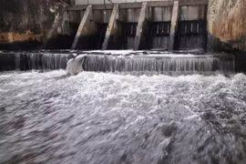 Xử nghiêm hàng trăm nhà hàng khách sạn không xử lý nước thải