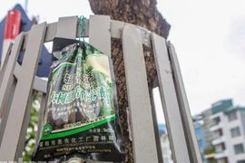 Có hồi sinh được hàng sưa đỏ trên đường Nguyễn Văn Huyên?