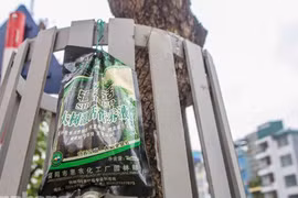 Có hồi sinh được hàng sưa đỏ trên đường Nguyễn Văn Huyên?