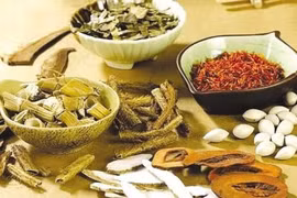 Các bài thuốc đơn giản chữa thiểu năng tuần hoàn não