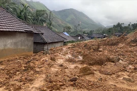 Quảng Ngãi: Đồi lở, cả làng chìm trong đất đá