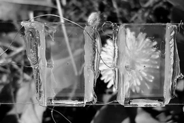 Cửa kính tạo ra điện