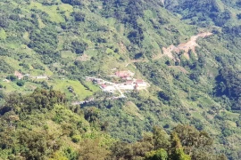 Ba dự án đề xuất lấy rừng tự nhiên bị từ chối