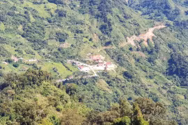 Ba dự án đề xuất lấy rừng tự nhiên bị từ chối