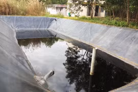 Hoài Nhơn (Bình Định): Nguy hại từ hiện tượng “rò rỉ” nước thải ra môi trường