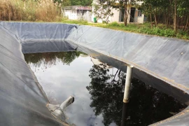 Hoài Nhơn (Bình Định): Nguy hại từ hiện tượng “rò rỉ” nước thải ra môi trường