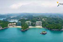 Flamingo Cát Bà – Điểm đến mới của các chương trình truyền hình