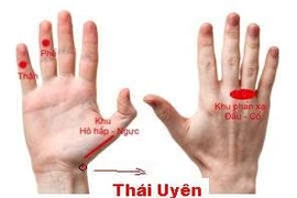 Day huyệt, uống trà trừ ho mùa lạnh