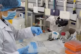 29 phòng xét nghiệm đủ năng lực xét nghiệm dịch bệnh Covid-19