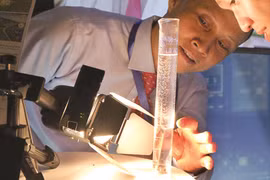 Giấc mơ đẹp về xăng từ... lá