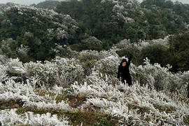 Một nửa đất nước chìm trong giá rét