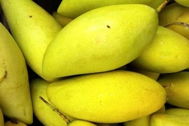  Ăn xoài làm giảm nếp nhăn trên mặt 