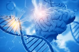 Những vùng gene góp phần vào sự phát triển nhận thức