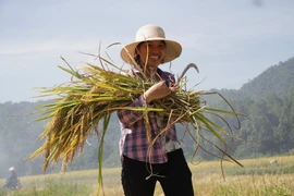 Phê duyệt Dự án Làng sinh thái nông nghiệp bền vững, sản xuất sạch và an toàn
