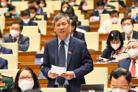 Đại biểu Quốc hội Nguyễn Anh Trí (đoàn Hà Nội). Ảnh: Diên Hồng.