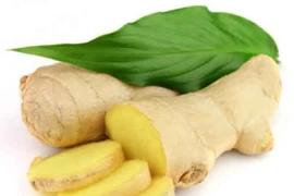 Gừng khô - Vị thuốc đa năng