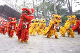 Lễ hội ánh sáng Countdown mừng năm mới tại phố đi bộ Nguyễn Huệ