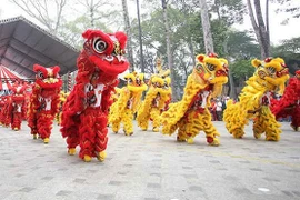 Lễ hội ánh sáng Countdown mừng năm mới tại phố đi bộ Nguyễn Huệ