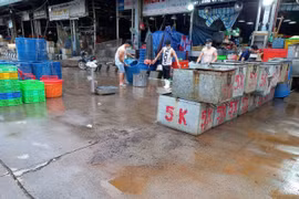 TPHCM mở lại chợ đầu mối Bình Điền