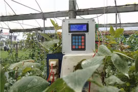 “Bộ điều khiển không dây” tăng năng suất cây trồng