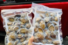 Cẩn thận với bào ngư giá rẻ