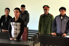 Thanh niên lãnh án tù vì tổ chức vào rừng hạ 10 cây gỗ bán lấy tiền tiêu xài