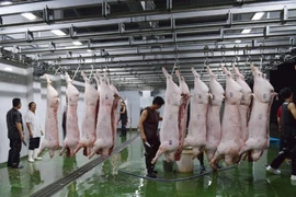 Giảm 10% phí an toàn vệ sinh thực phẩm