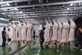 Giảm 10% phí an toàn vệ sinh thực phẩm