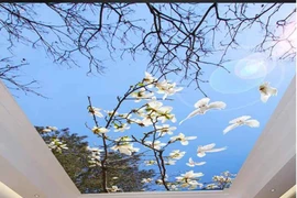 Trần nhà 3D đẹp kinh ngạc