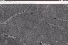 Tranh cãi về bức ảnh con đường kỳ lạ trên sao Hỏa