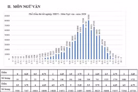 Hai thí sinh đạt điểm 10 môn Ngữ văn