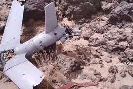 Ả rập Xê út dừng toàn bộ các hoạt động quân sự ở Yemen