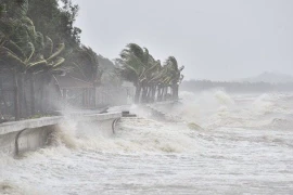 Thời điểm xuất hiện bão