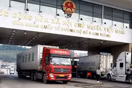 Việt Nam nhập siêu hơn 35 tỷ USD từ Trung Quốc