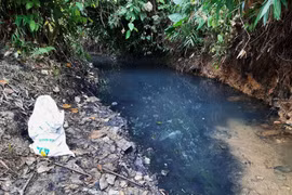 Nguồn nước phải bảo vệ như an ninh quốc gia nhưng thực tế quá lỏng lẻo