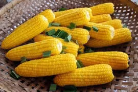  Ngô non tốt cho người cao huyết áp, viêm túi mật