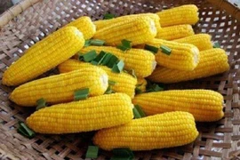  Ngô non tốt cho người cao huyết áp, viêm túi mật