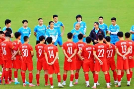 HLV Park Hang Seo đau đầu tìm nhân sự cho đội tuyển Việt Nam