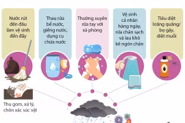 Hậu mưa lũ: Phòng chống dịch bệnh thế nào?