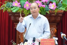 Phải có tầm nhìn dài hạn hơn chứ không phải nóng đâu phủi đó, đối phó từng năm