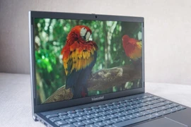 Masstel E140 giá rẻ cho học sinh có gì?