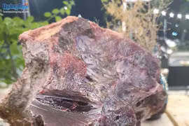 Không có loại đá nào phát ra mùi thơm