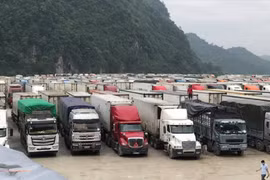 Hơn 1.700 xe hàng tồn ứ tại các cửa khẩu