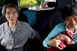 Những con mèo hóa điên vì ngộ độc thủy ngân